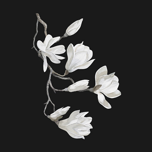 Мужской свитшот Цветы акварелью ветки магнолии / Черный – фото 3