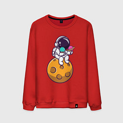 Мужской свитшот Лунное мороженое