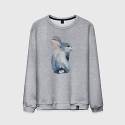 Мужской свитшот Кролик арт