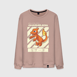 Мужской свитшот Покемоны Чармелеон Charmeleon