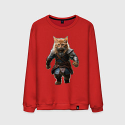 Мужской свитшот Кот викинг