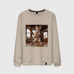 Мужской свитшот Заяц и бейсбол