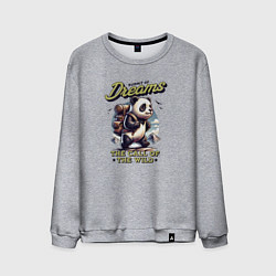 Мужской свитшот Вершина мечты