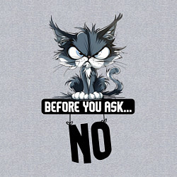 Свитшот хлопковый мужской Прежде чем ты спросишь - нет, цвет: меланж — фото 2