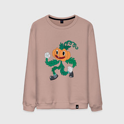 Мужской свитшот Бегущая тыква