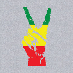 Свитшот хлопковый мужской Jamaica peace, цвет: меланж — фото 2