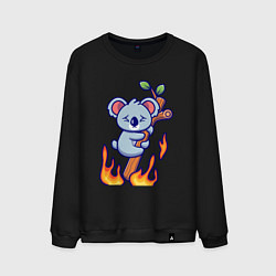 Мужской свитшот Пожар у коалы