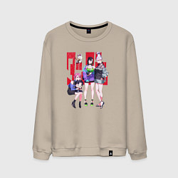 Мужской свитшот Dandadan Girls