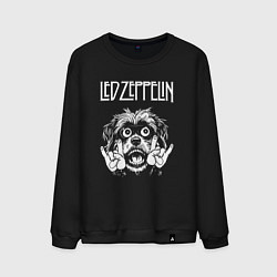 Мужской свитшот Led Zeppelin rock dog