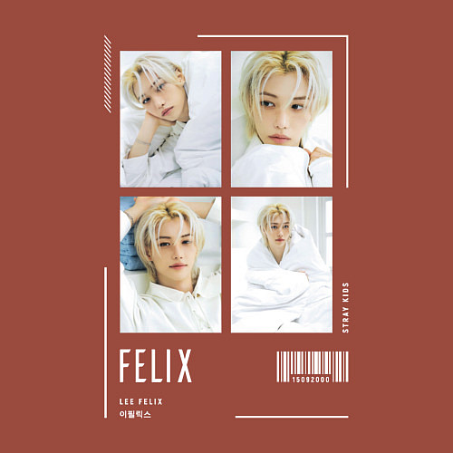 Мужской свитшот Felix stray kids cute / Кирпичный – фото 3