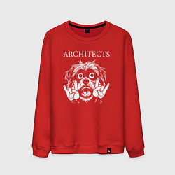 Мужской свитшот Architects rock dog