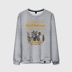 Мужской свитшот Big bang 15 лет