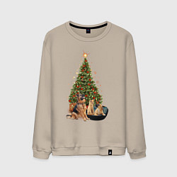 Мужской свитшот Домашние животные рядом с новогодней елкой