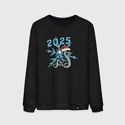 Свитшот хлопковый мужской Ледяной змея 2025, цвет: черный