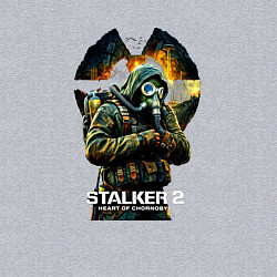 Свитшот хлопковый мужской Stalker 2 heart of chornobyl, цвет: меланж — фото 2