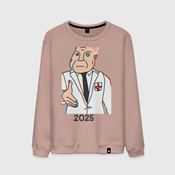 Свитшот хлопковый мужской Дурка новый год, цвет: пыльно-розовый