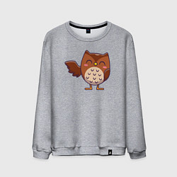 Свитшот хлопковый мужской Привет от совы, цвет: меланж