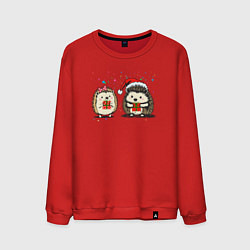 Свитшот хлопковый мужской Новогодние ежики с подарками, цвет: красный