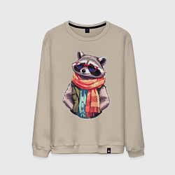 Мужской свитшот Модный енот в очках и шарфе