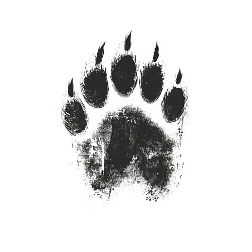 Мужской свитшот Медвежий след / Белый – фото 3