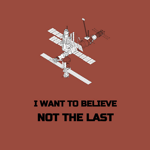 Мужской свитшот Орбитальная станция мир / Кирпичный – фото 3