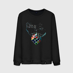 Мужской свитшот Рубик в воде