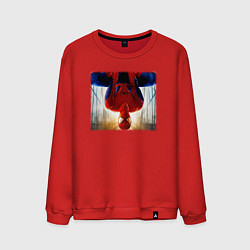 Мужской свитшот Новый человек паук