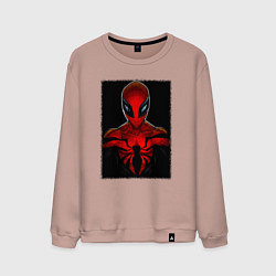 Мужской свитшот Человек паук майлз моралес