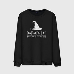 Свитшот хлопковый мужской Gendalf science is magic, цвет: черный