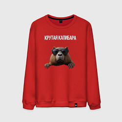 Свитшот хлопковый мужской Выглядывающая капибара, цвет: красный