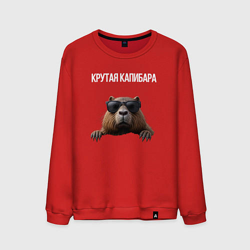 Мужской свитшот Выглядывающая капибара / Красный – фото 1