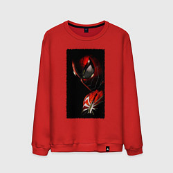 Мужской свитшот Человек паук паркер