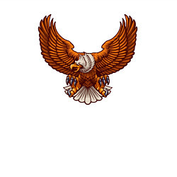 Свитшот хлопковый мужской Свободный орёл, цвет: белый — фото 2