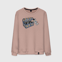 Мужской свитшот Космический сундук