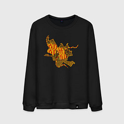 Мужской свитшот Омск