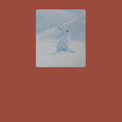 Свитшот хлопковый мужской Снежный белый заяц, цвет: кирпичный — фото 2