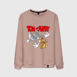 Мужской свитшот Том и Джерри - погоня