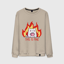 Мужской свитшот Cat - this is fine