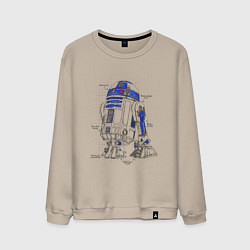 Свитшот хлопковый мужской R2-D2, цвет: миндальный