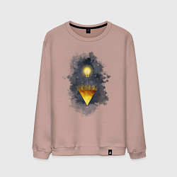 Мужской свитшот Росток идеи