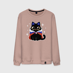 Мужской свитшот Кот с флагом