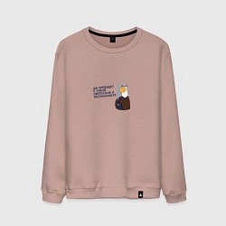 Мужской свитшот Орел: да пребудет с тобой светосила и экспонометр