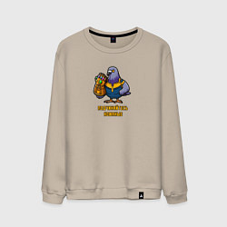 Мужской свитшот Голубь с золотой перчаткой требует подчинятся