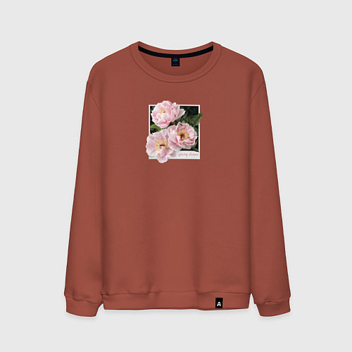 Мужской свитшот Spring dream / Кирпичный – фото 1