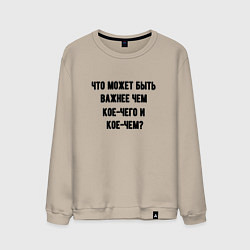 Мужской свитшот Кое-чего и кое-чем