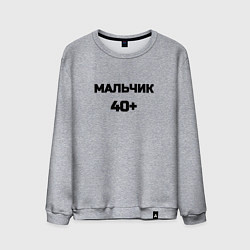 Свитшот хлопковый мужской Мальчик 40 плюс, цвет: меланж