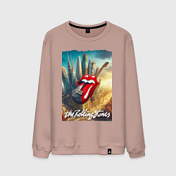 Мужской свитшот Rolling Stones - logo-guitar