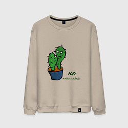 Мужской свитшот Говорящие кактусы