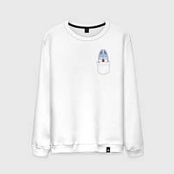 Мужской свитшот Wolf Chan in pocket