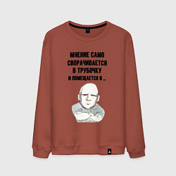 Свитшот хлопковый мужской Ваше мнение само, цвет: кирпичный